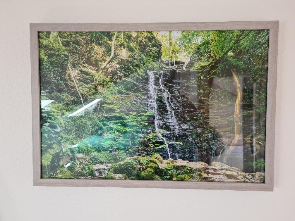 Ferienhaus Finca De Vida Y Luz Auderath Exterior foto